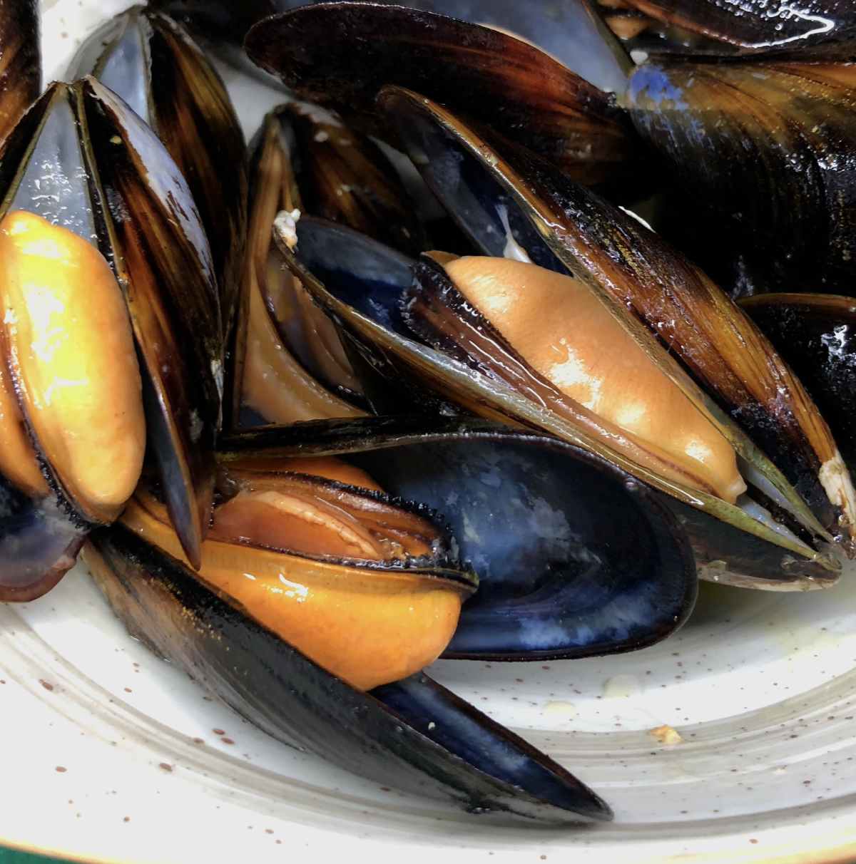 mejillones_web.jpg